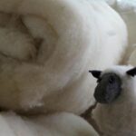 Wool Batting