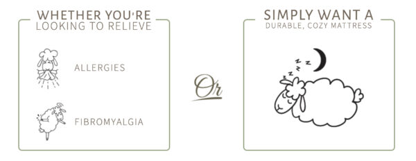 toxin-Free wool mattress comforter in Hartford, WI- Woolbed