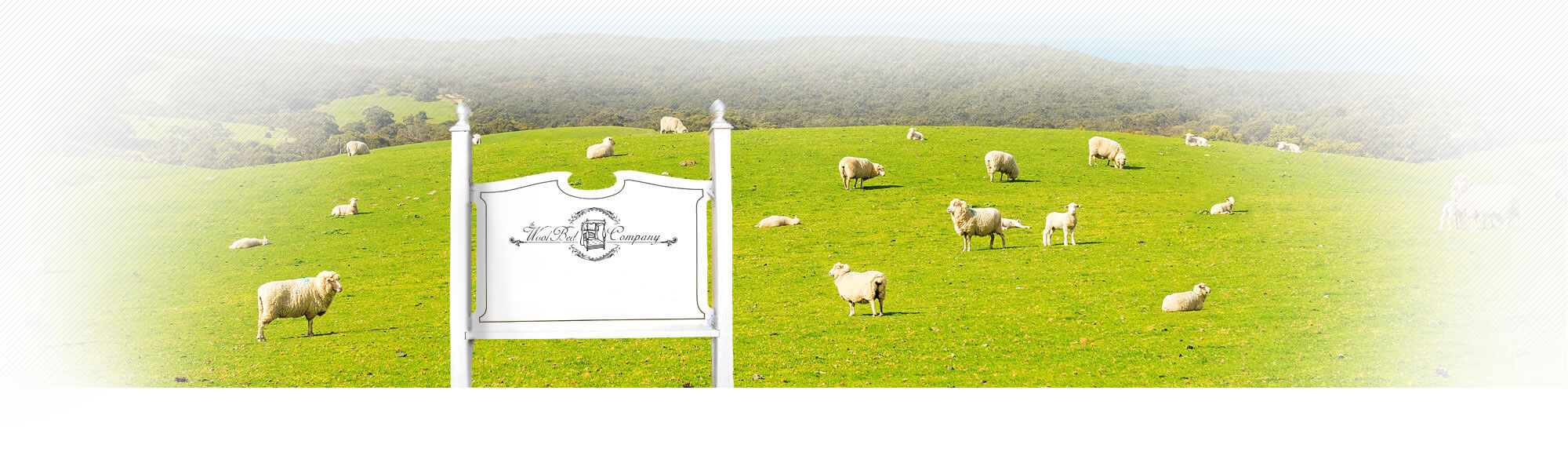 Bedding Buyers Guide