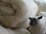 Wool Batts
