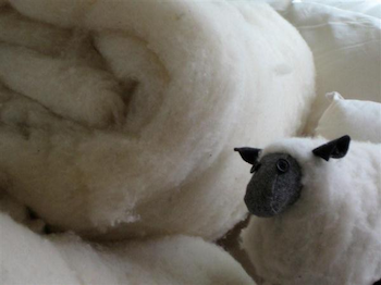 wool-pillow-renewal-progr Wool Batts