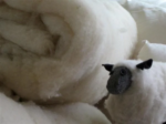 wool batting for quilting