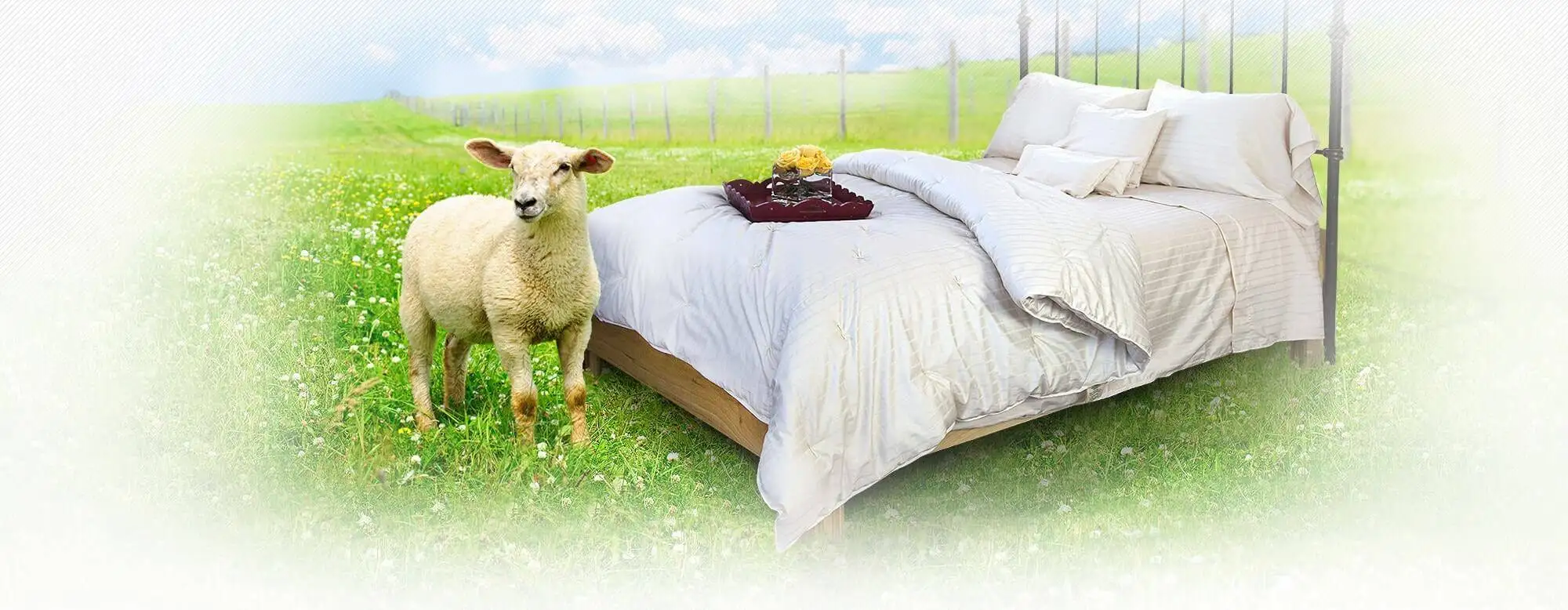 Wool bed company mattress, pillow and bed sheet