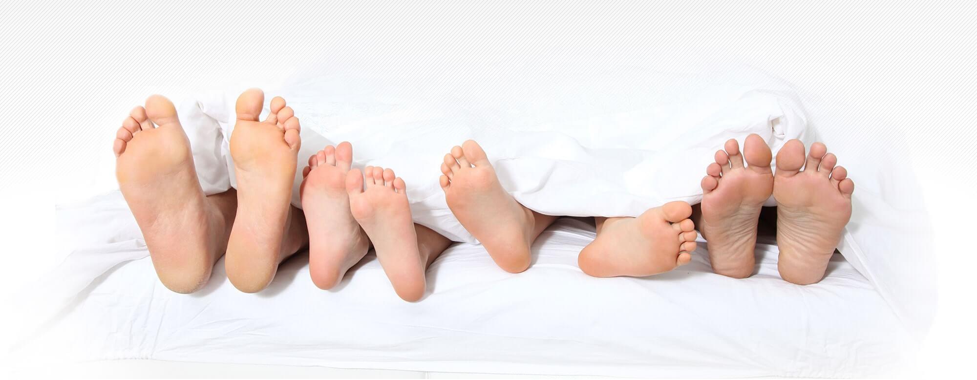 Wool Mattresses Toppers Comforters